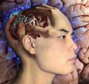 Matter Over Mind: Copyright � 1998-2004, Eric D. Nguyen, Some Rights Reserved.